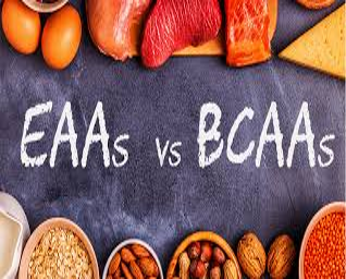 Picture for category Aminos & BCAAs