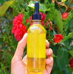 Picture for category Body & Hair Oils