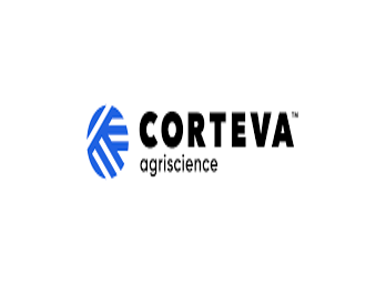 Picture for manufacturer COTONEVE