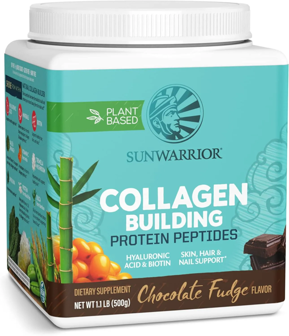 Picture of Collagen Building Prot Peptides Choc Fudge 500G